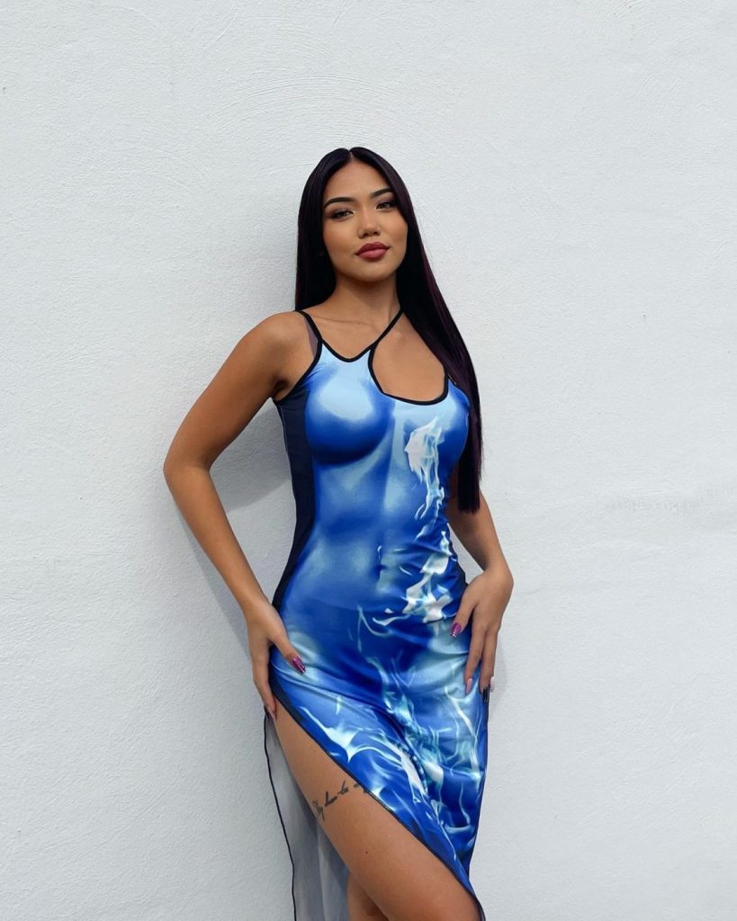 Blue Print Bodycon Midi Dress
